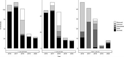 Population Characteristics of Feral Horses Impacted by Anthropogenic Factors and Their Management Implications